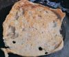 Fladenbrot