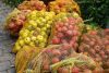 Selbstgemachter Apfelsaft