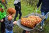 Selbstgemachter Apfelsaft