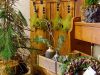 Advent bei Monika Winkler