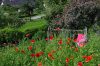 Naturgarten