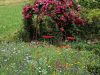 Naturgarten mit Rosenpavillon
